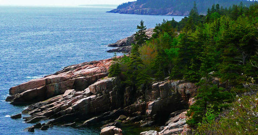 Best Things To Do in Acadia National Park