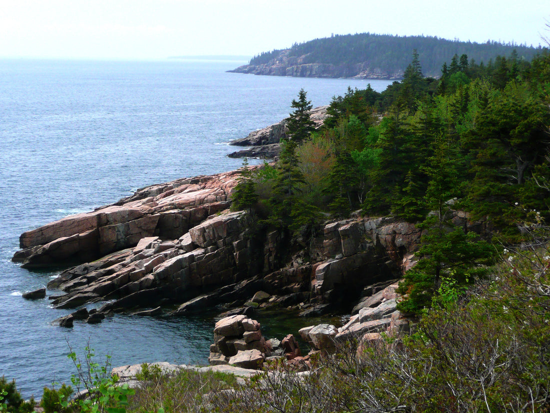 Acadia National Park's Birthday is February 26th