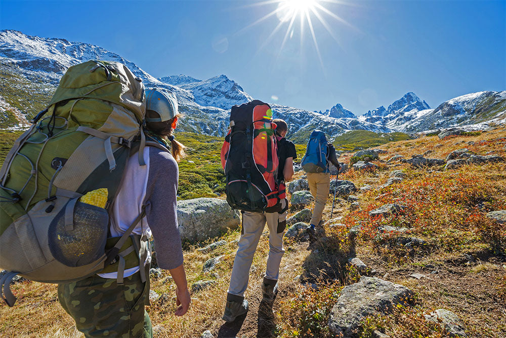 backpack hiking guide The Ultimate Guide to Hiking & Backpacking in America's National Parks –  National Park Posters