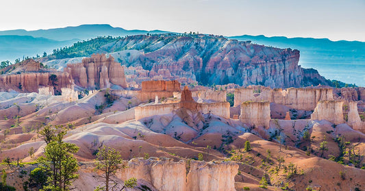 How Can You Support America's National Parks? Here are 6 Easy Ways!