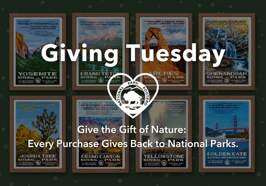 Giving Tuesday: Art that inspires, giving that matters