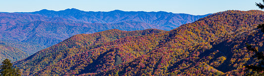 Great Smoky Mountains National Park