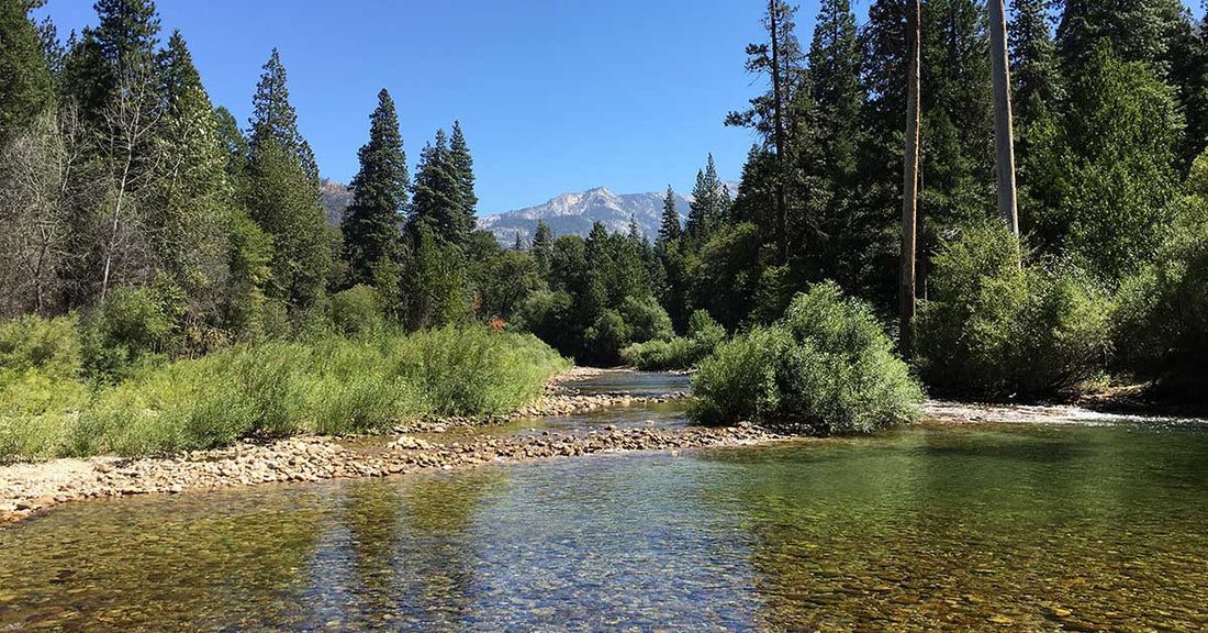 Kings Canyon National Park