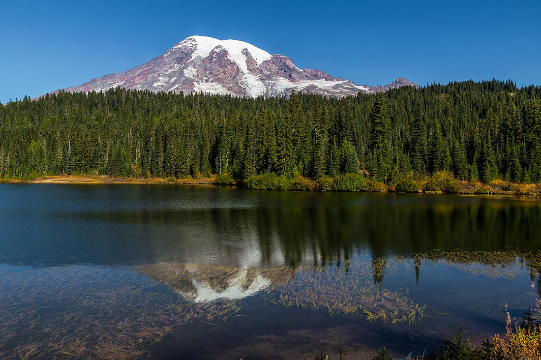 America’s Best Idea…the National Parks…Even Better When they’re Free!