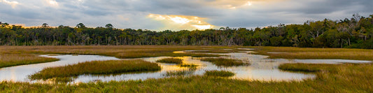 Timucuan Ecological and Historic Preserve