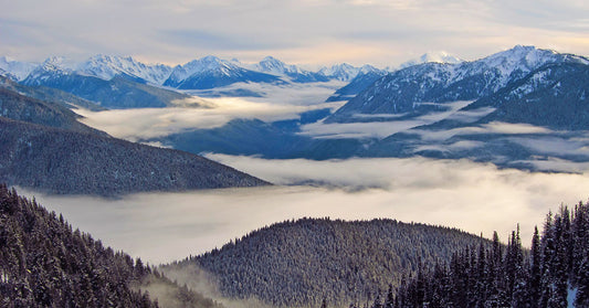 Best Things to do in Olympic National Park