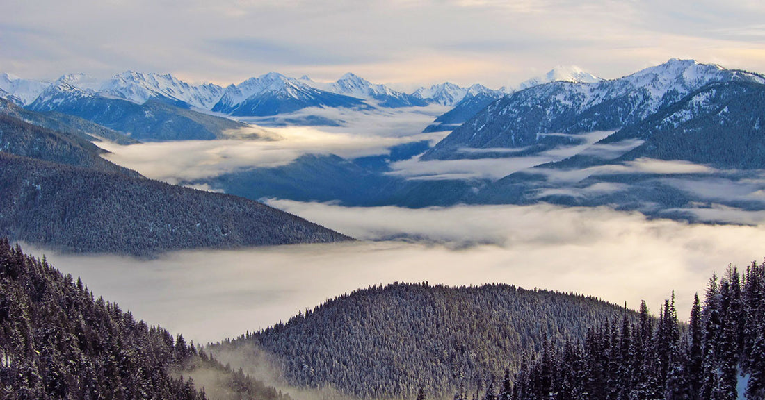 Olympic National Park