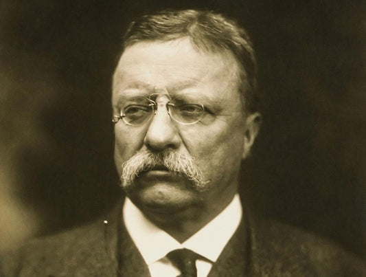 Theodore Roosevelt and the National Park Service