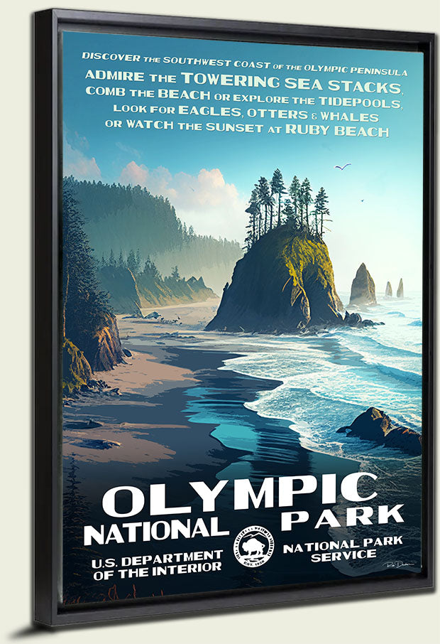 Olympic National Park Canvas Print