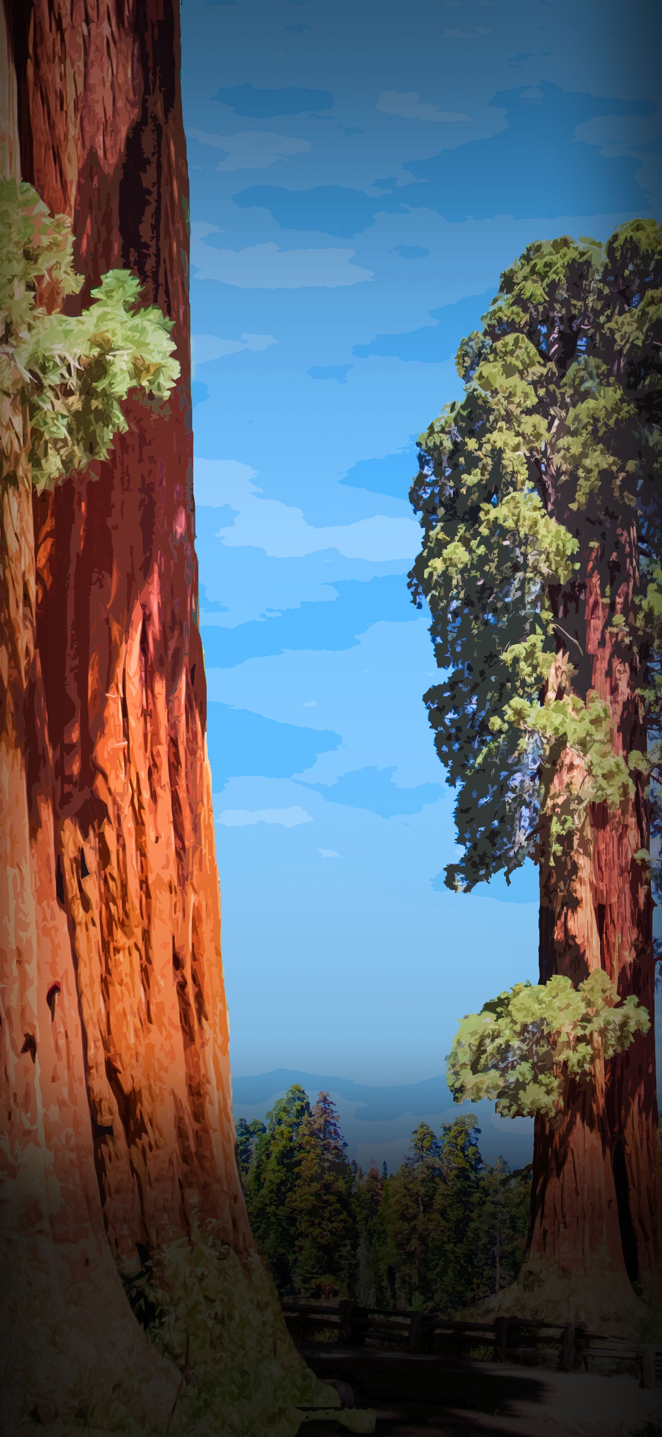 National Park Digital Phone Screen Backgrounds