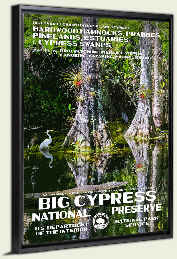 Big Cypress National Preserve Canvas Print