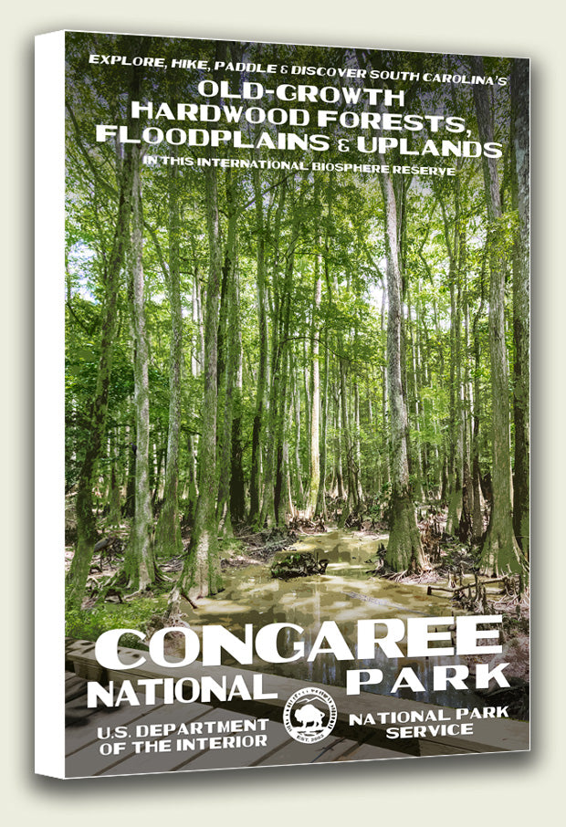 Congaree National Park Canvas Print