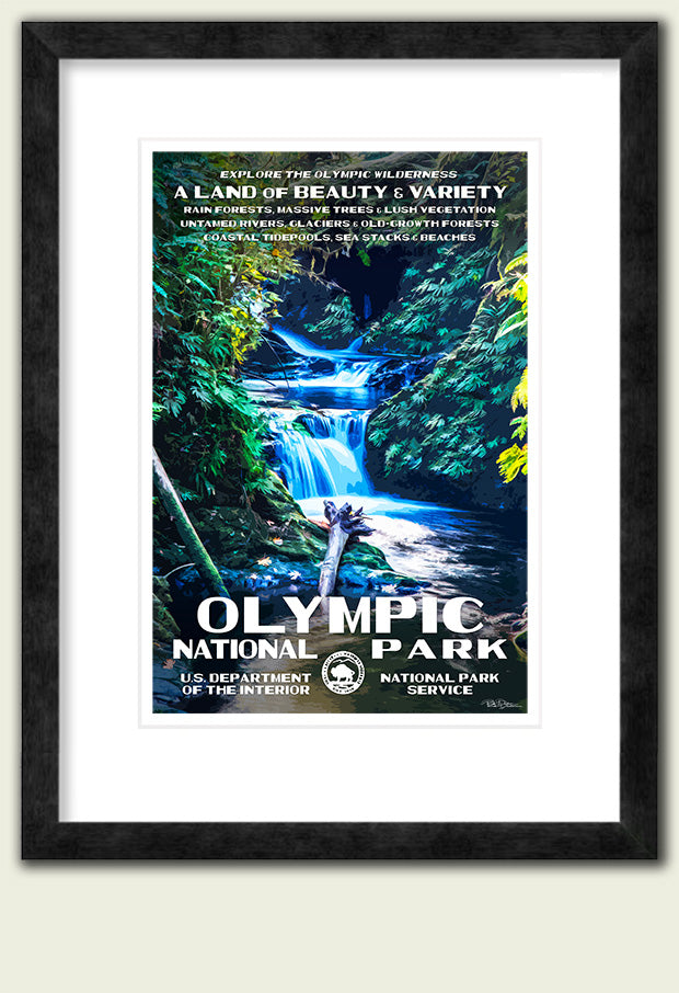 Olympic National Park Poster - Rain Forest