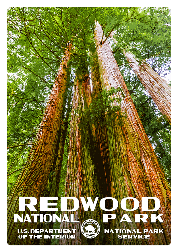 Redwood National Park Sticker