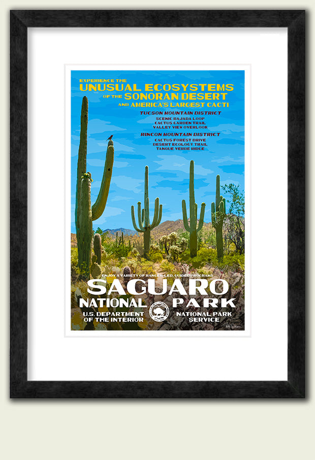 Saguaro National Park