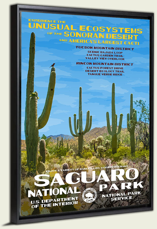 Saguaro National Park Canvas Print