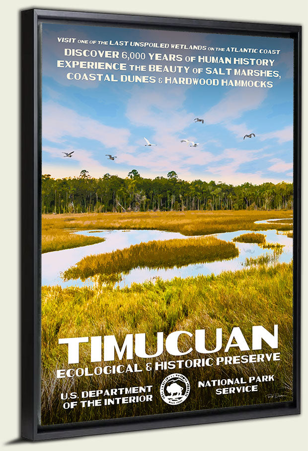 Timucuan Ecological & Historic Preserve Canvas Print