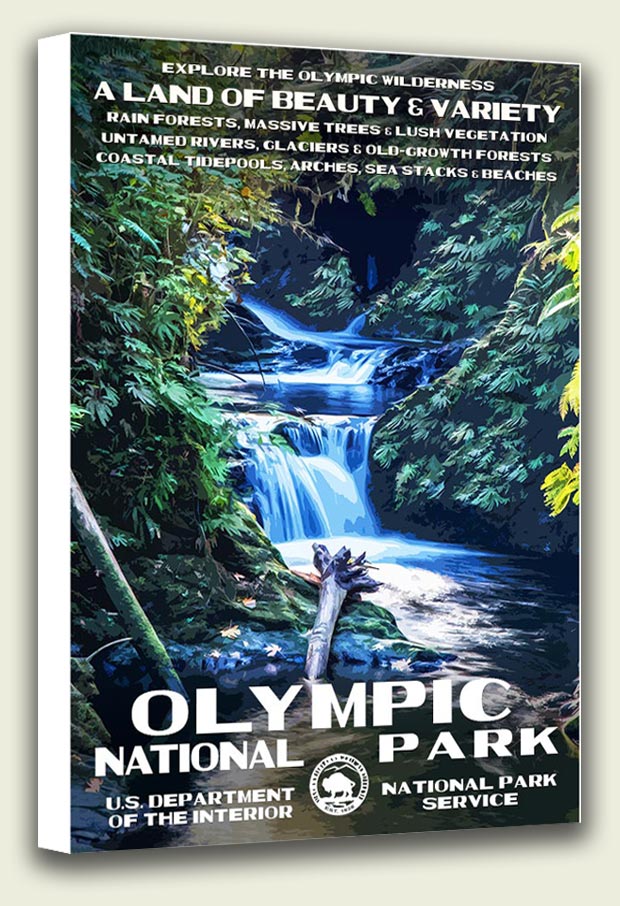 Olympic National Park Canvas Print