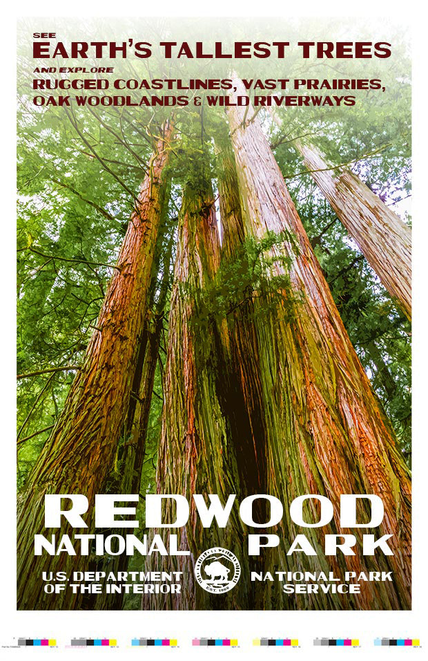 Redwood National Park