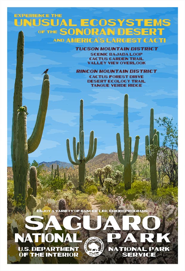 Saguaro National Park