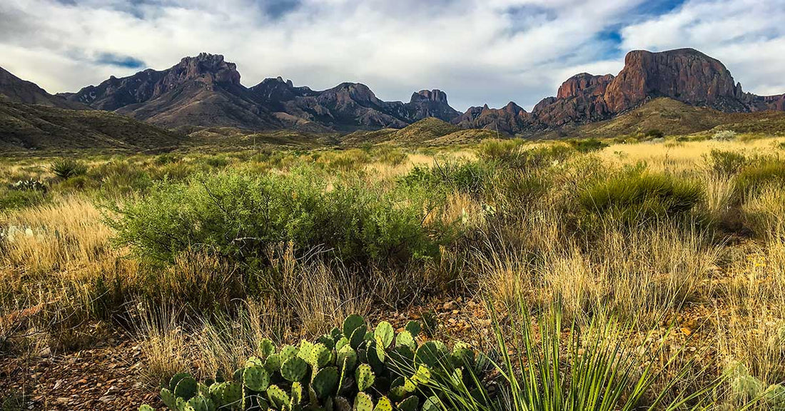 Best Things To Do in Big Bend National Park