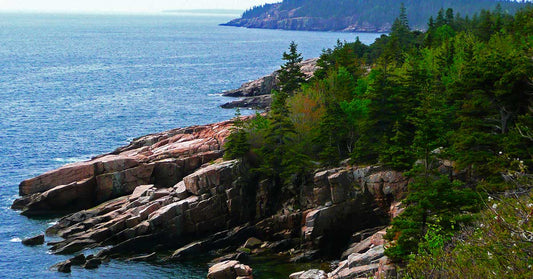 Acadia National Park's Birthday is February 26th!