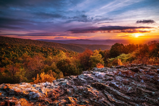 National Parks You Can Enjoy Without Long Hikes
