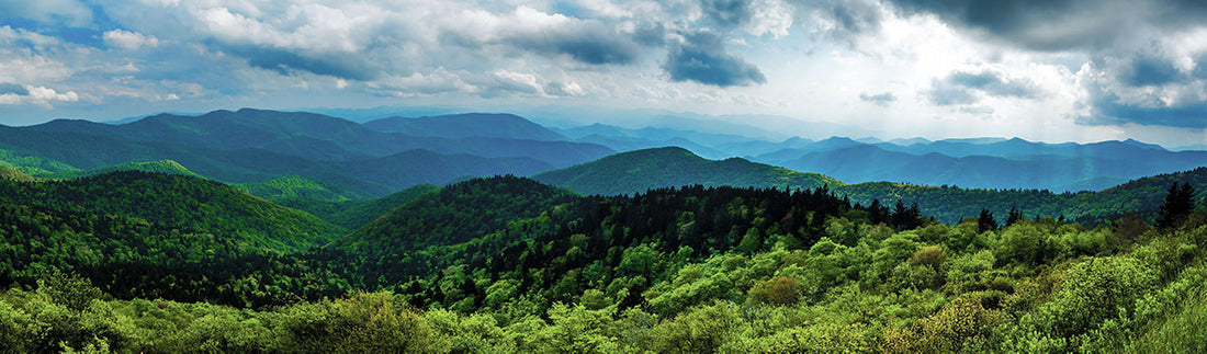 Best Things to Do in Blue Ridge Parkway National Park