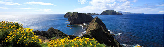 Channel Islands National Park – the Galapagos of North America