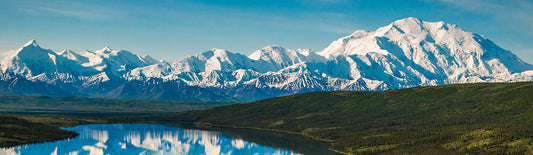 Best Things To Do in Denali National Park
