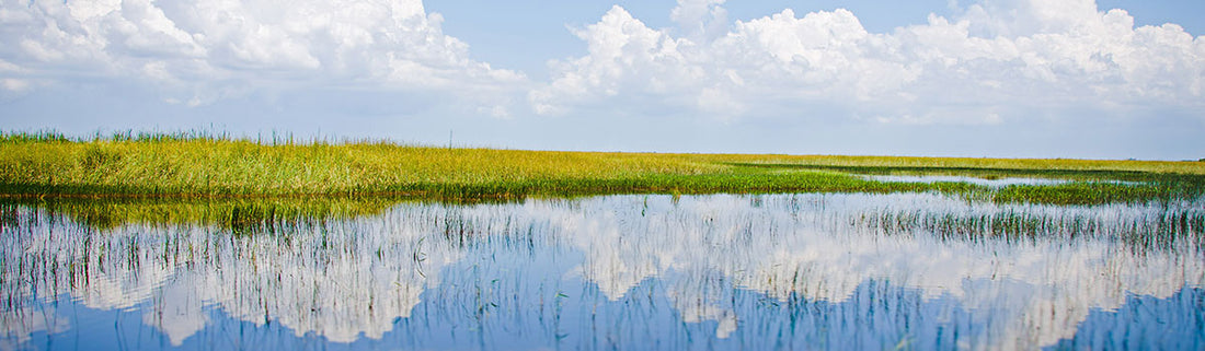 Best Things to Do in Everglades National Park