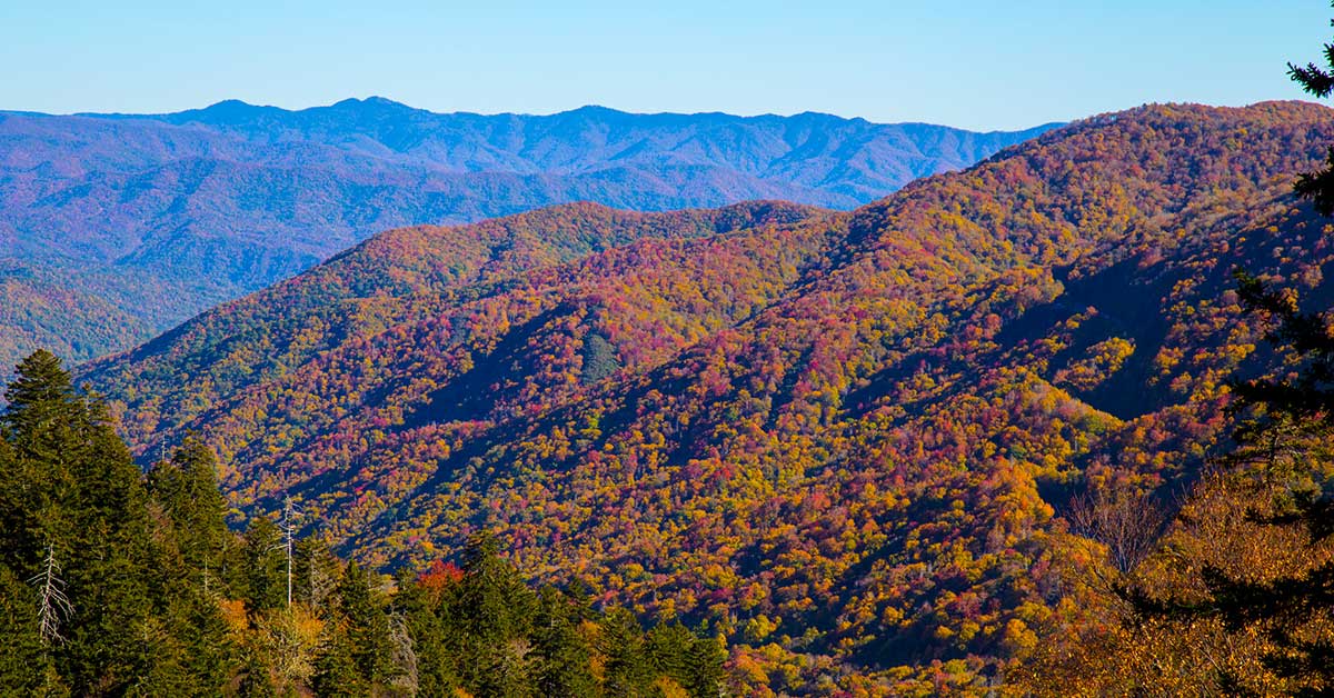 Best Things To Do in Great Smoky Mountains National Park | National ...