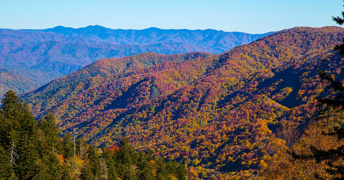 Best Things To Do in Great Smoky Mountains National Park
