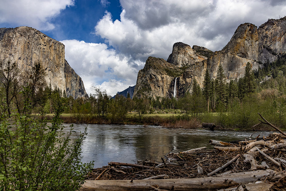 Celebrate Yosemite National Park's Anniversary - October 1st