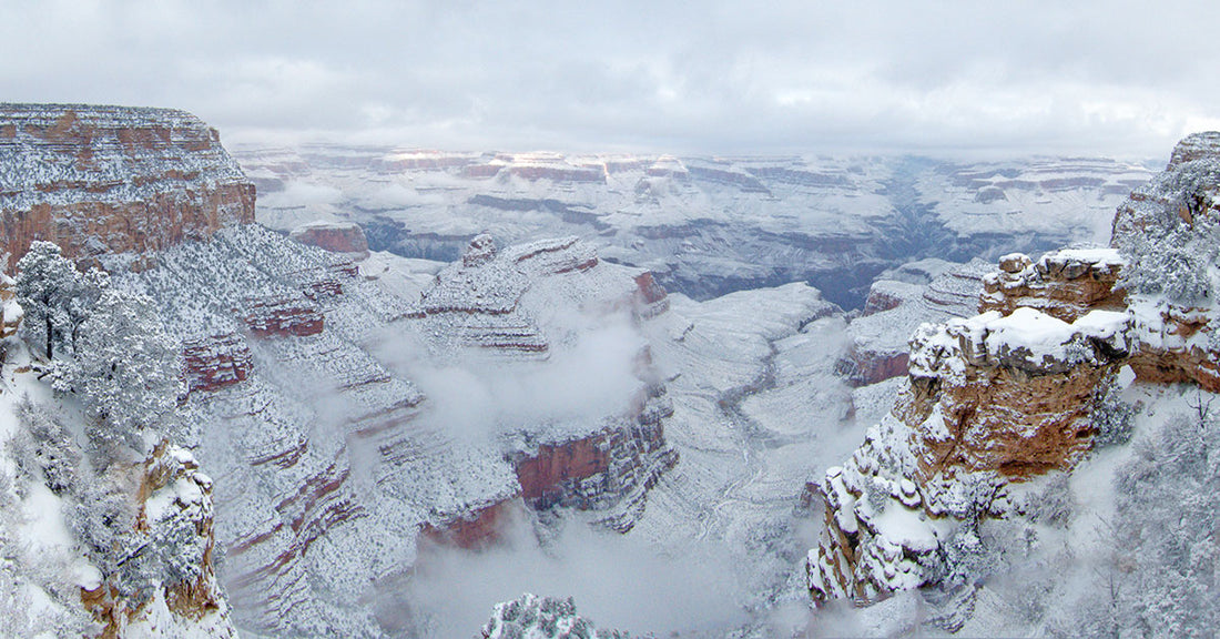 February 26th is Grand Canyon National Park's Birthday