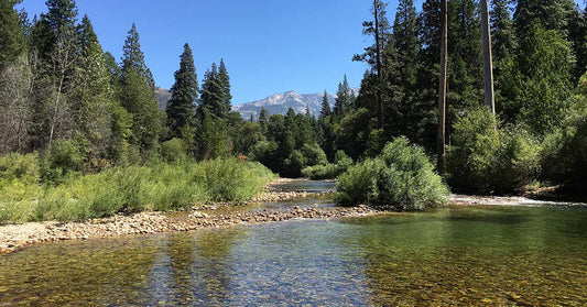 Kings Canyon National Park