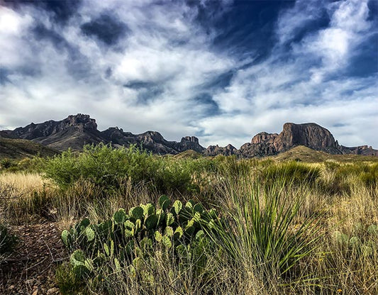 Celebrate Big Bend National Park's Anniversary