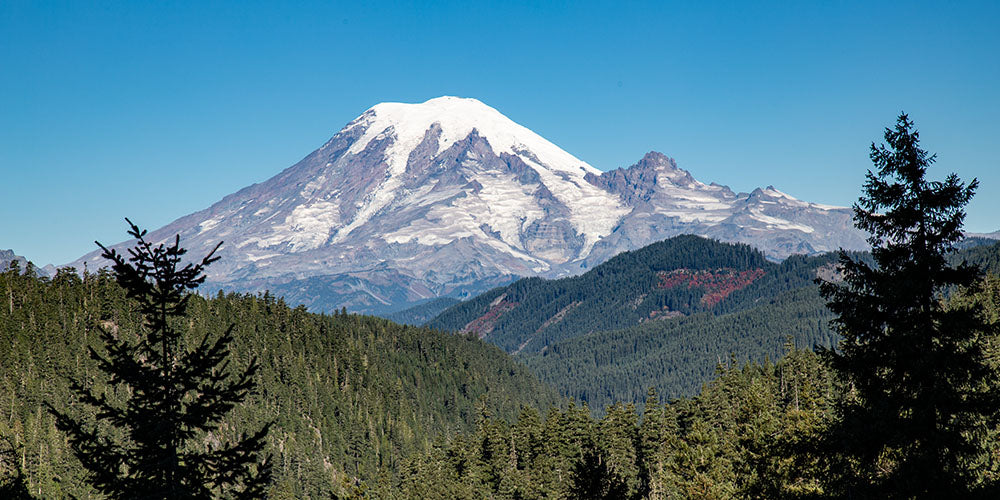 Ashford, Washington: Your Gateway to Mount Rainier National Park