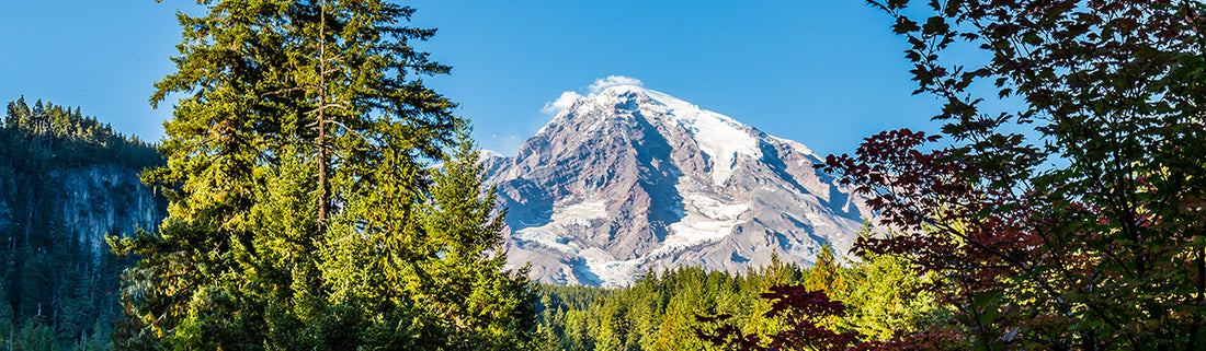 Best Things to do in Mount Rainier National Park