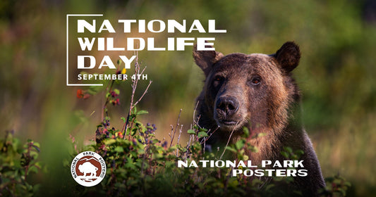 Celebrate National Wildlife Day!