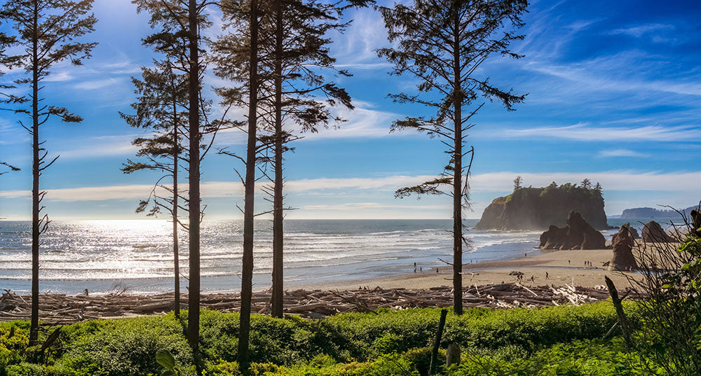 Best Things To Do Along The Olympic Peninsula at Olympic National Park
