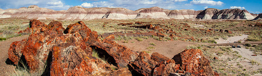 Best Things to do at Petrified Forest National Park