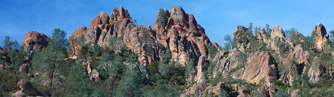 Pinnacles National Park: A Guide to California’s Volcanic Spires, Caves, and Condors