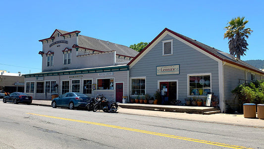 Point Reyes Station: Your Gateway to Point Reyes National Seashore