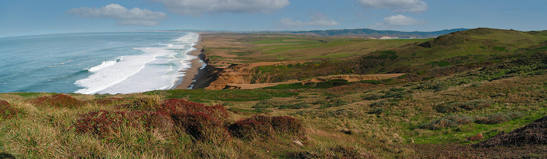 Best Things to Do at Point Reyes National Seashore