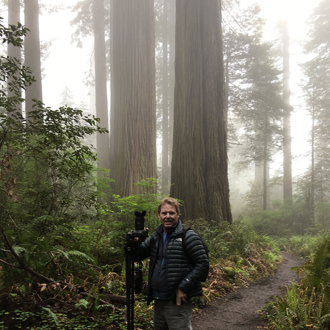 Rob Decker at Redwood National Park, California