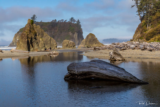 Discover the Magic of Ruby Beach: A Coastal Gem in Olympic National Park