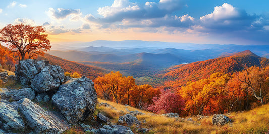 7 National Parks Perfect for Fall Trips