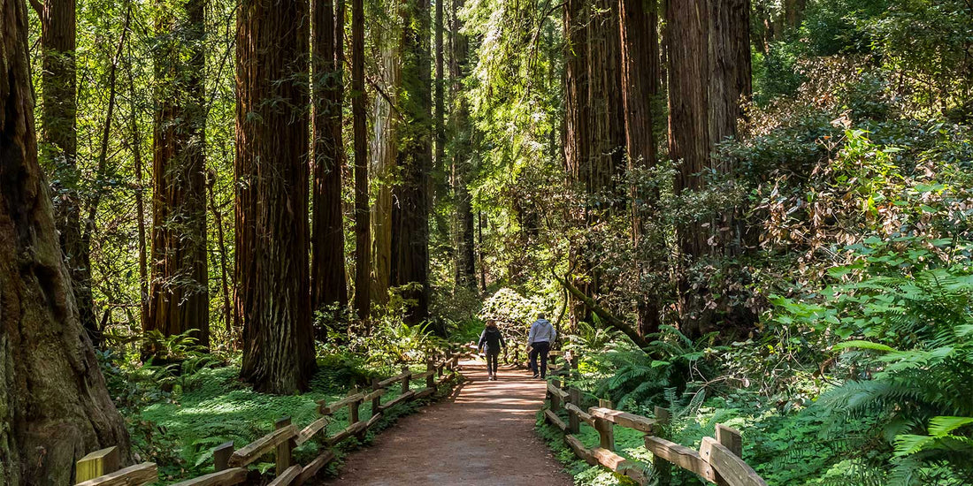 National Take A Hike Day