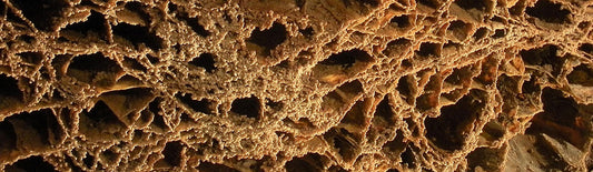 Wind Cave National Park | National Park Posters